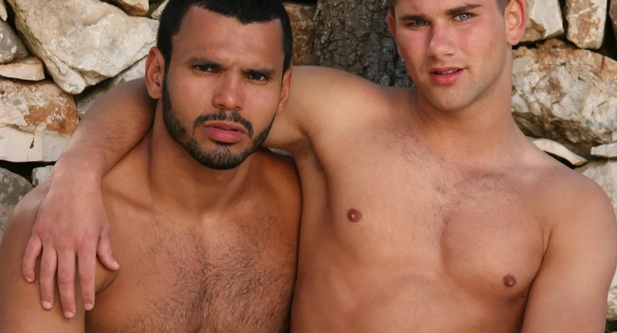 The School for Lovers