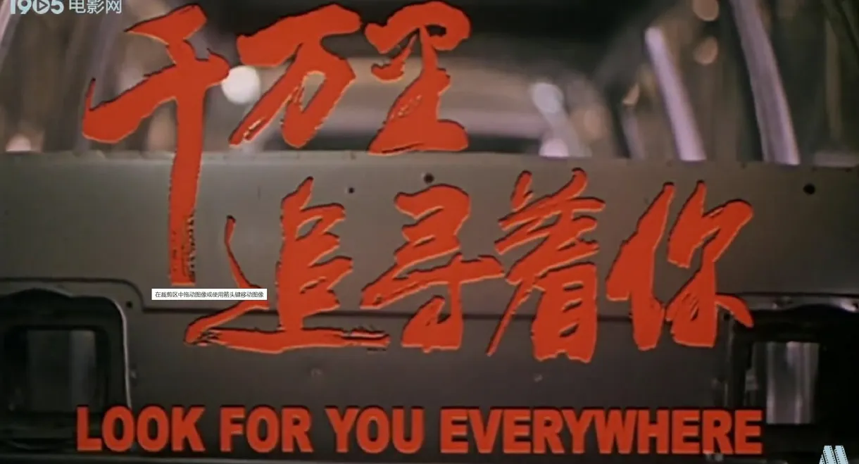 Look For You Everywhere