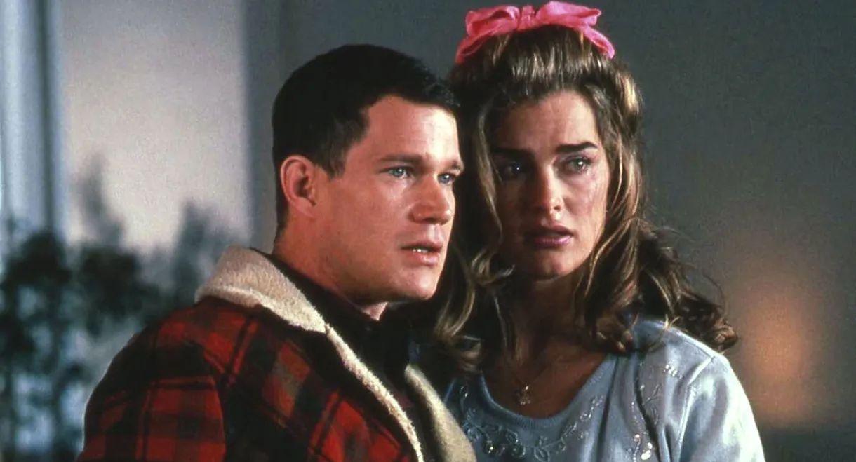 The Almost Perfect Bank Robbery