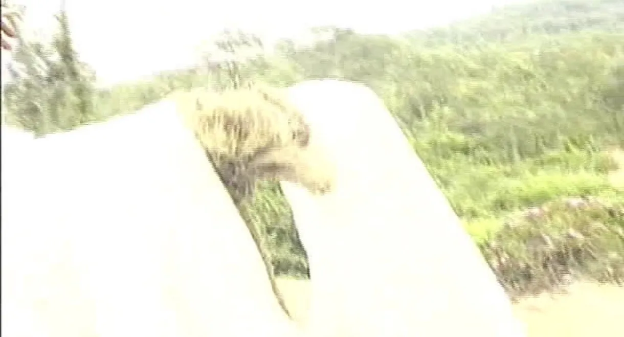 风月宝鉴之初入桃源洞