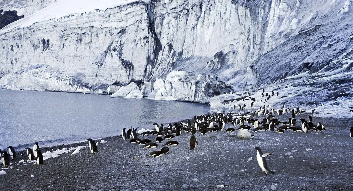 Antarctica: The Frozen Time