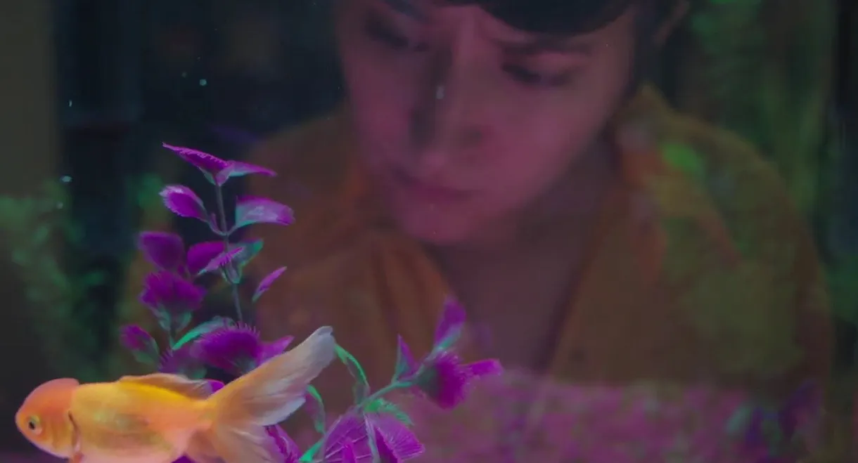 A Disagreement About Flies