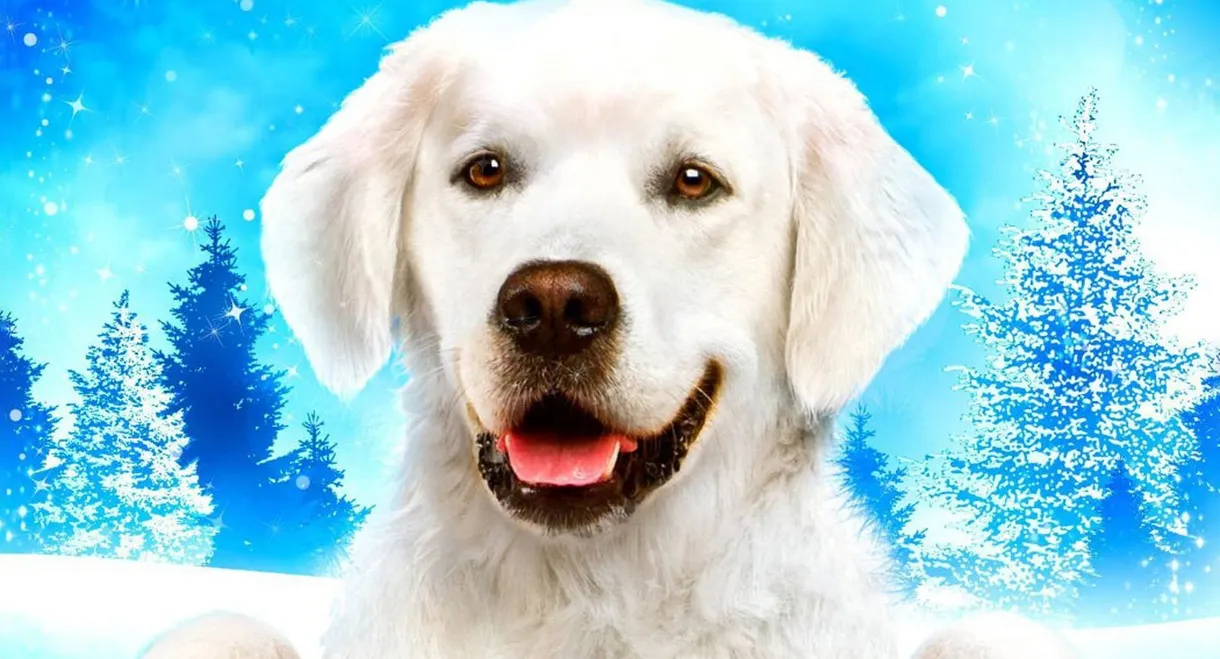 Adventures of Bailey: Christmas Hero