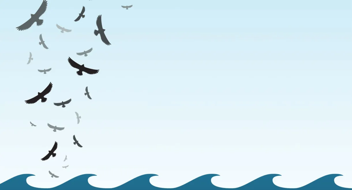 In the Wake of the Flood