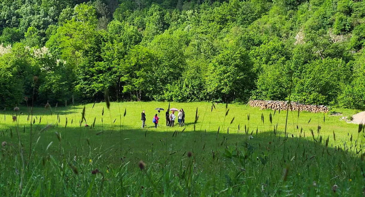 Why Have You Left Us