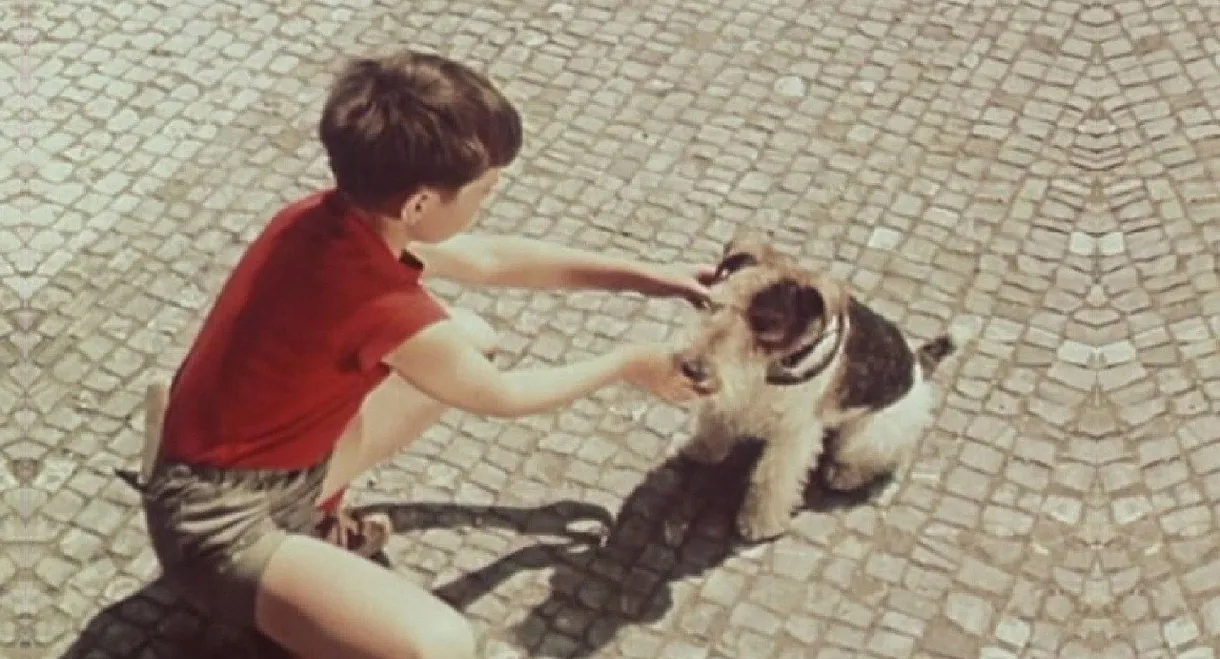 Punta and the Four-Leaf Clover