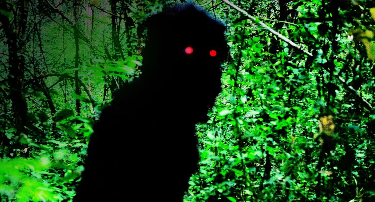 Uncle Boonmee Who Can Recall His Past Lives