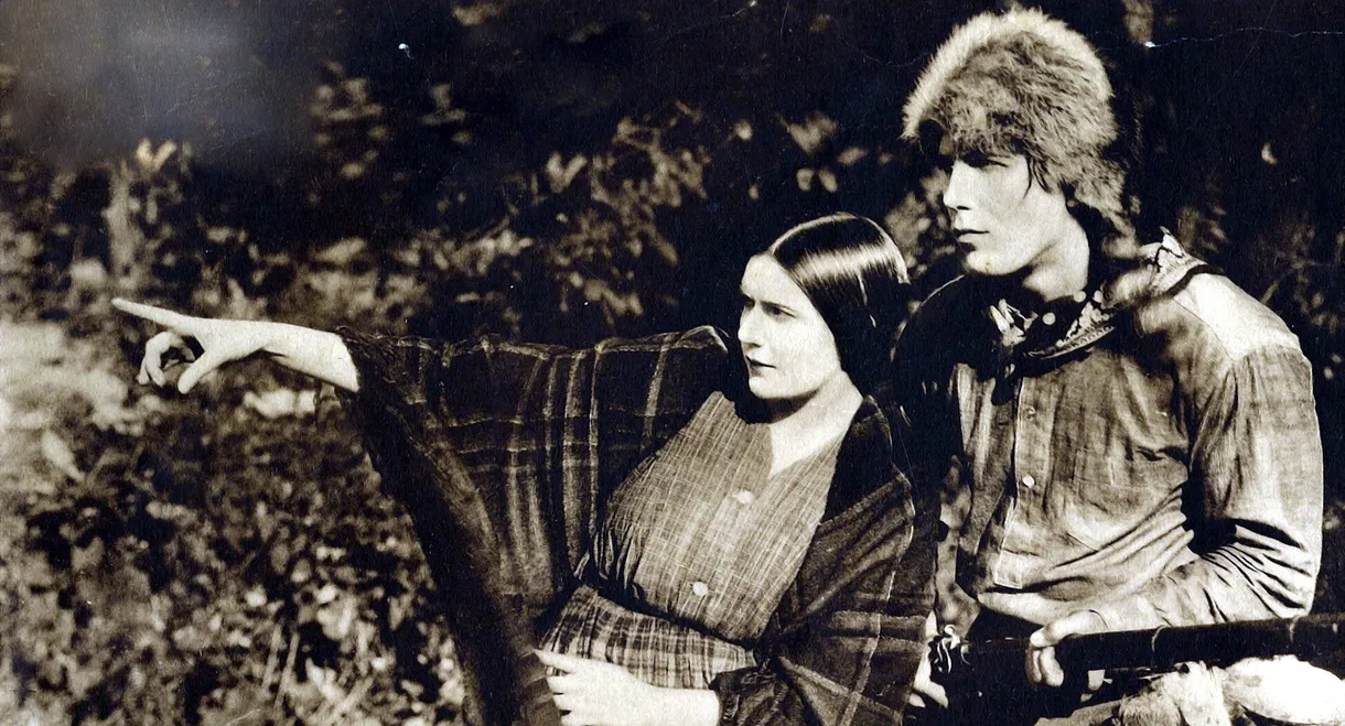 The Hoosier Schoolmaster