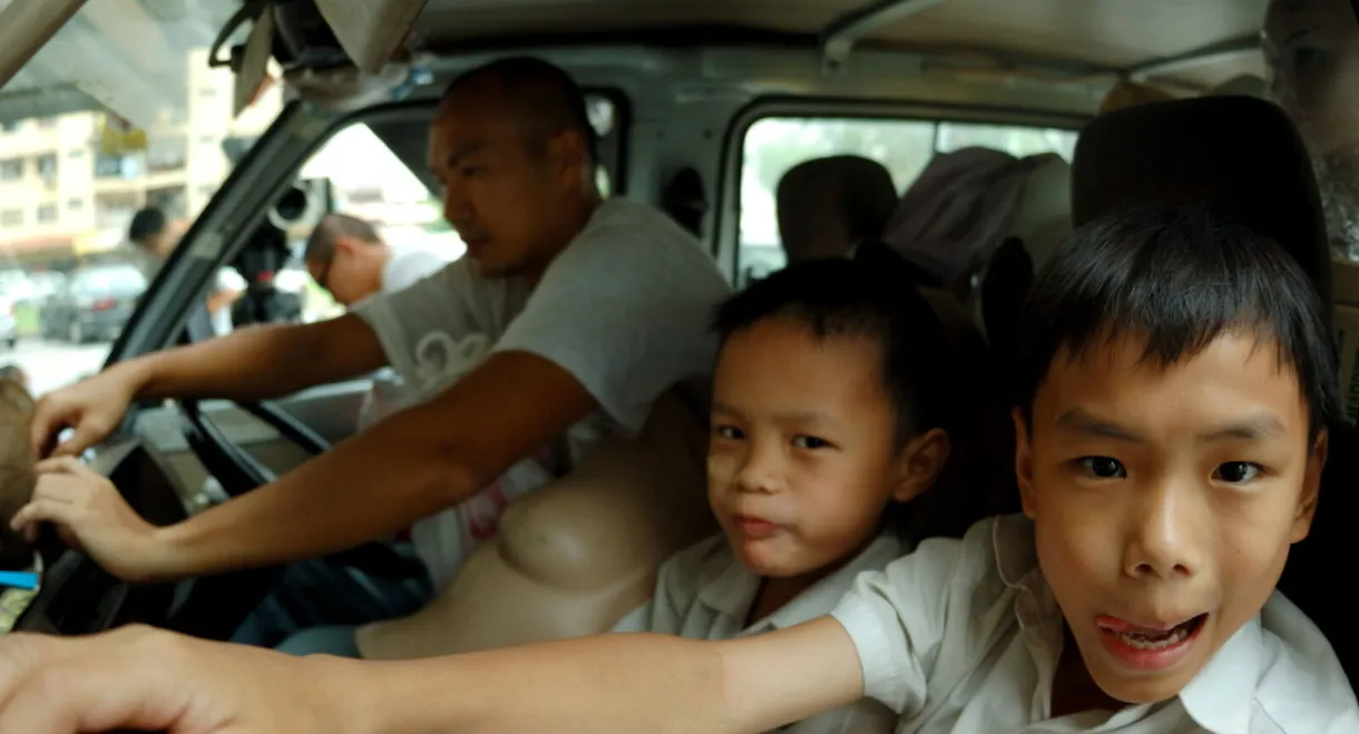 Flower in the Pocket