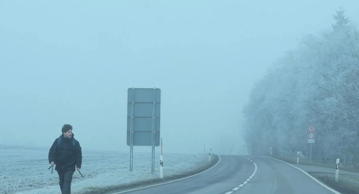 Dear Werner (Walking on Cinema)