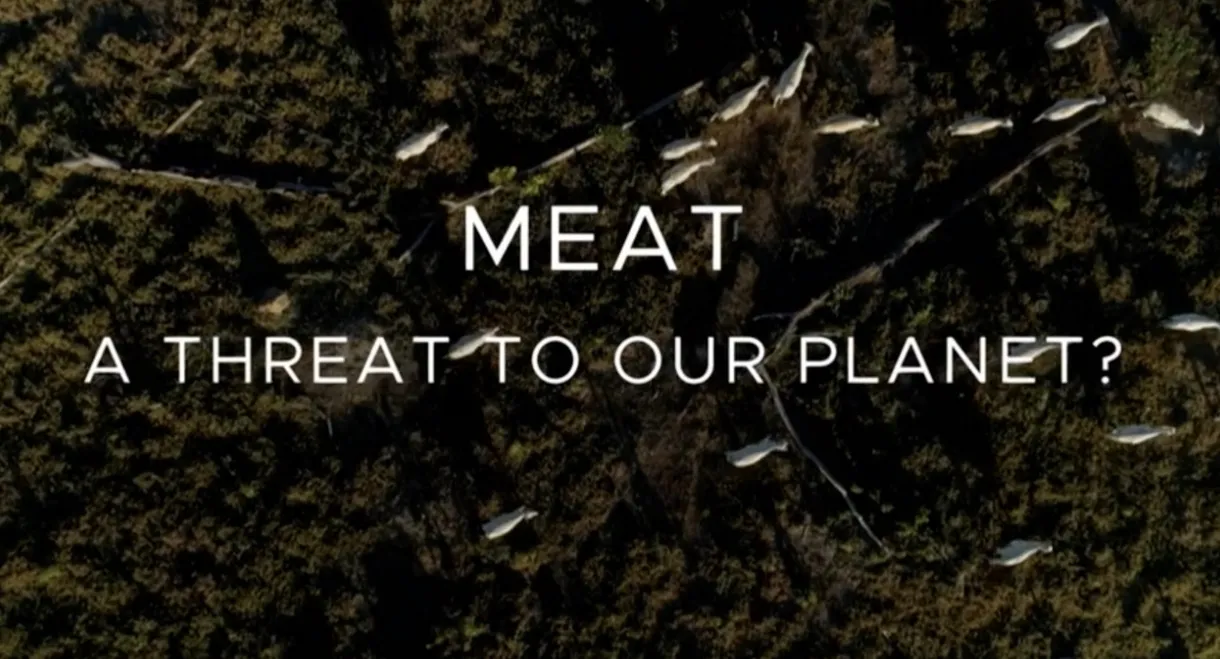 Meat: A Threat to Our Planet