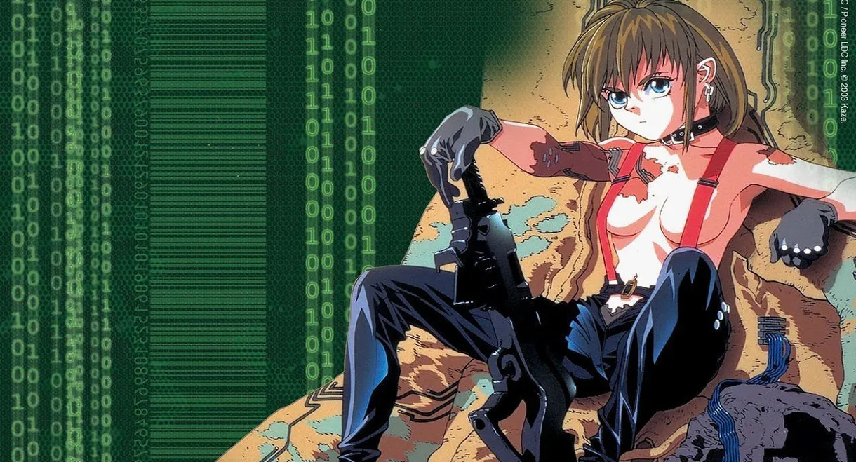 Armitage III: Poly Matrix