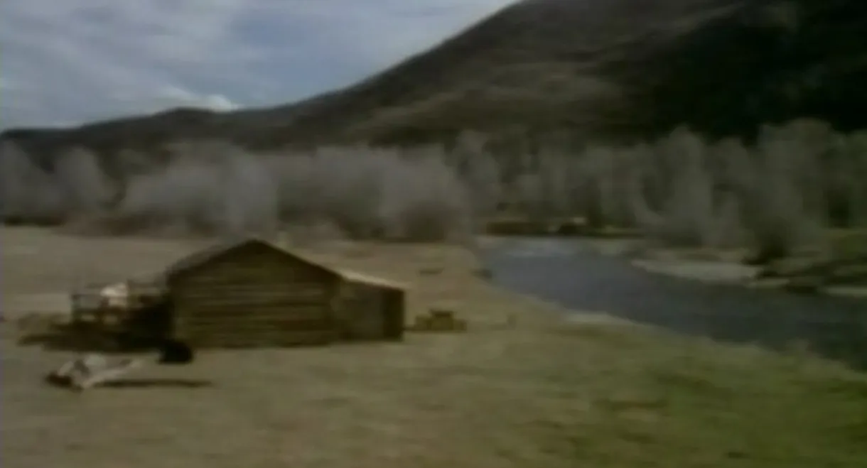 In Search of a Golden Sky