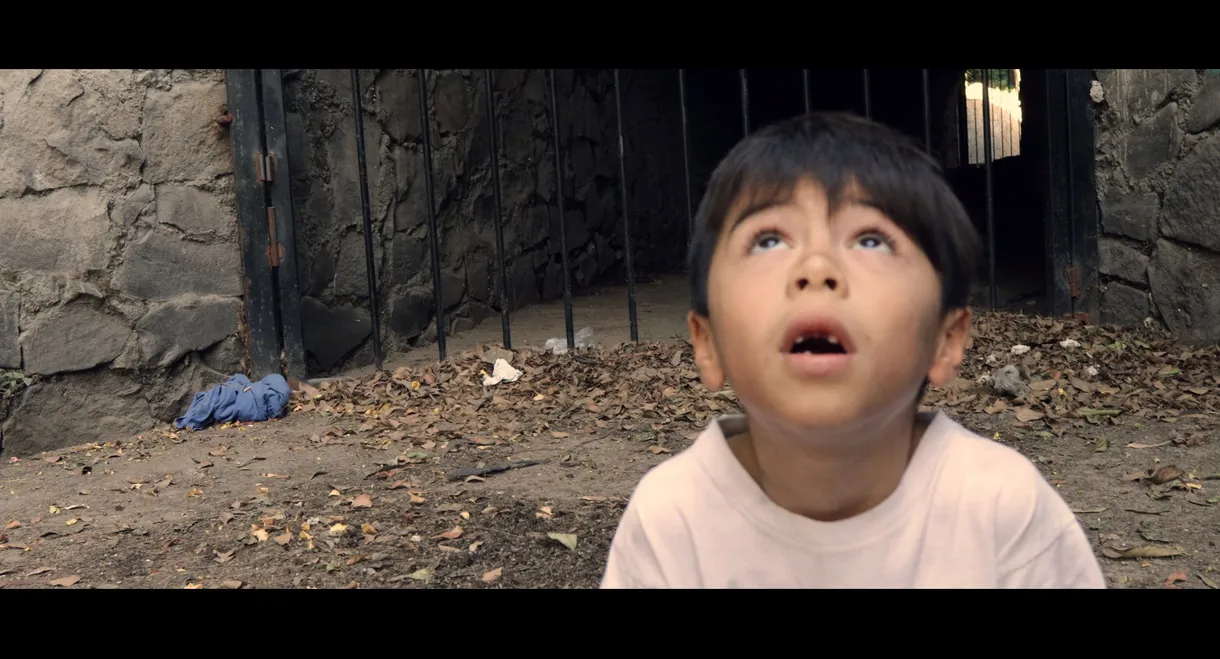 ¿Si Pudiera Interpellar Estrellas?