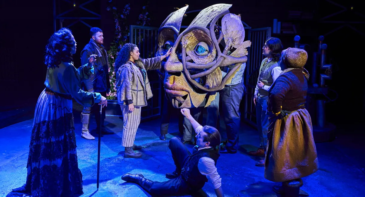 The Sorcerer's Apprentice