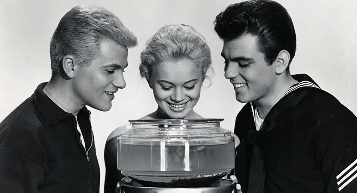 Love in a Goldfish Bowl