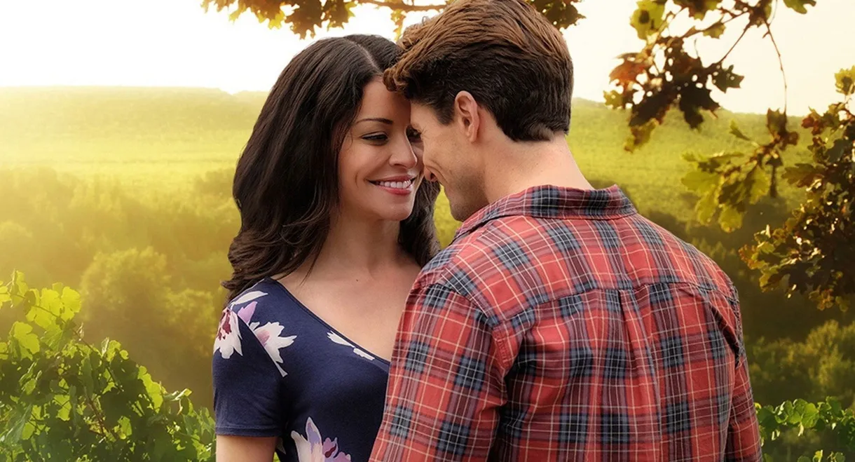 Love in the Vineyard