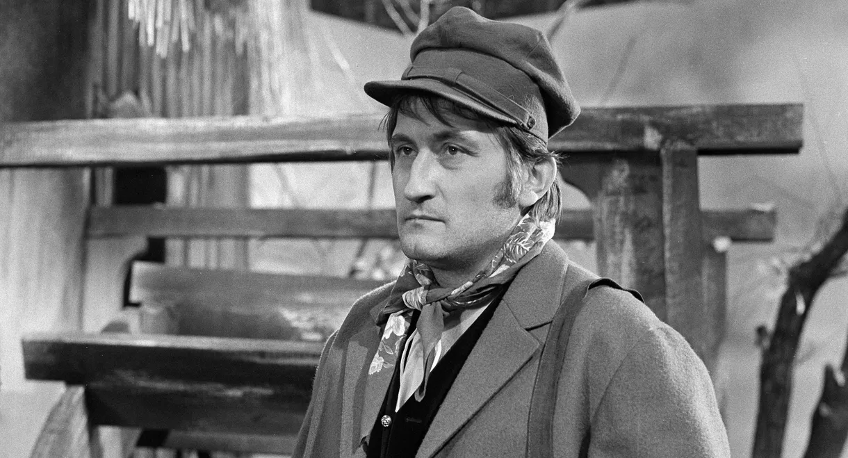 Nejsem chmýrko na bodláku