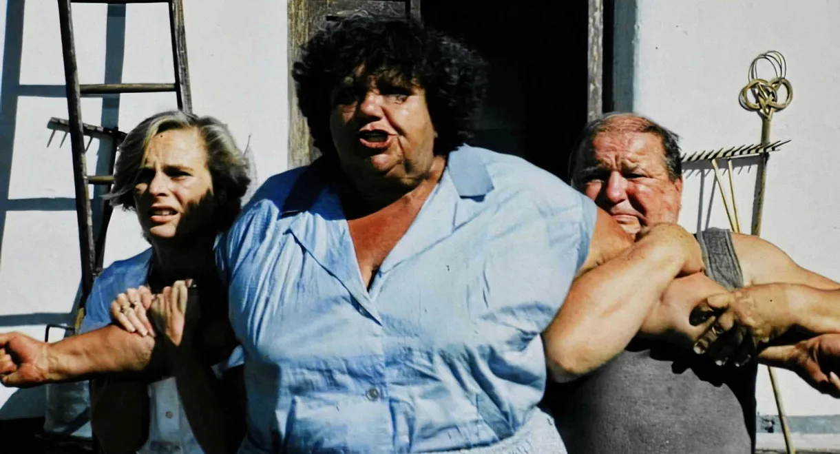 Sun, Hay and a Couple of Slaps