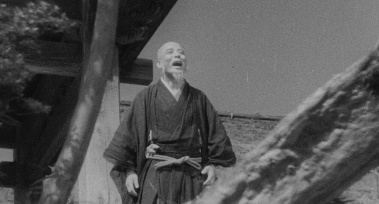 The Monk Who Became a Raccoon Dog