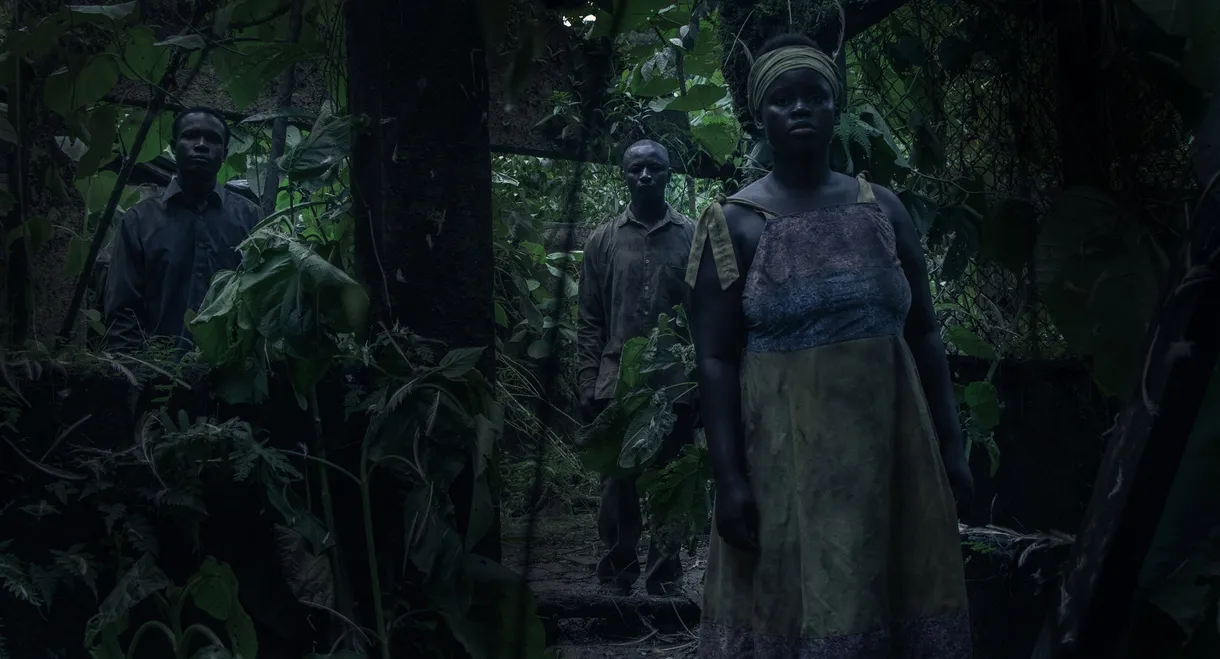 I Saw Three Black Lights