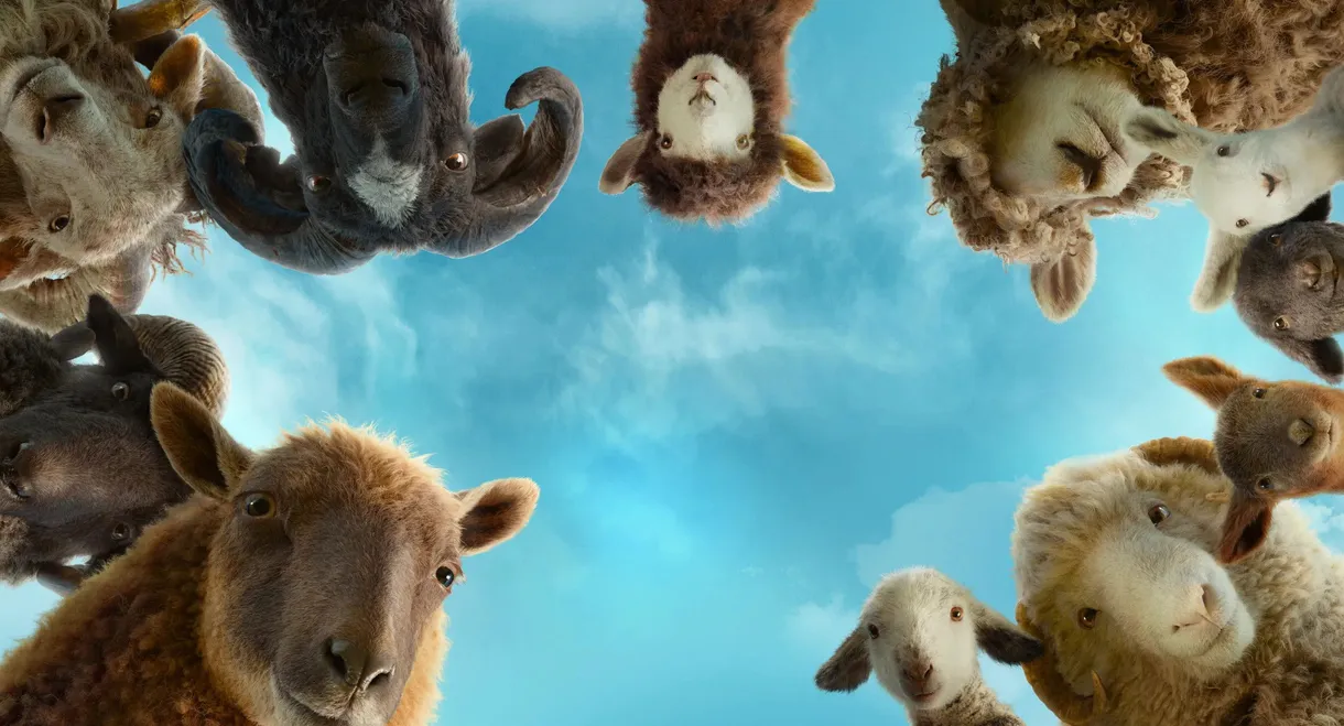 The Sheep Detectives