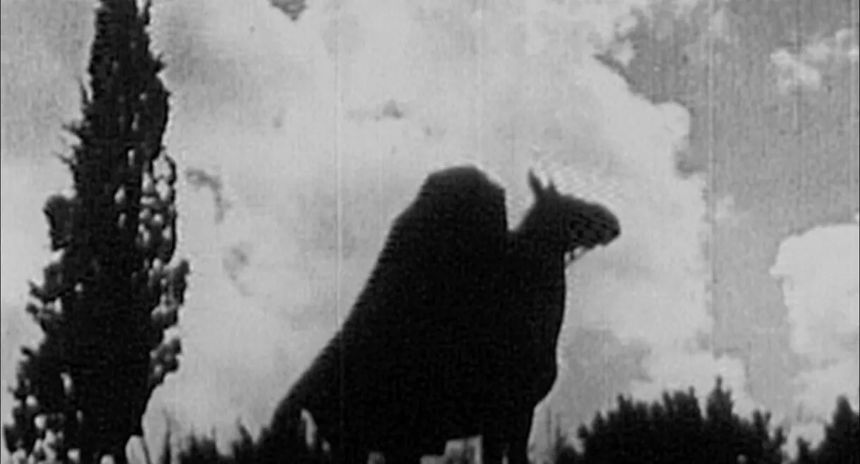 The Headless Horseman