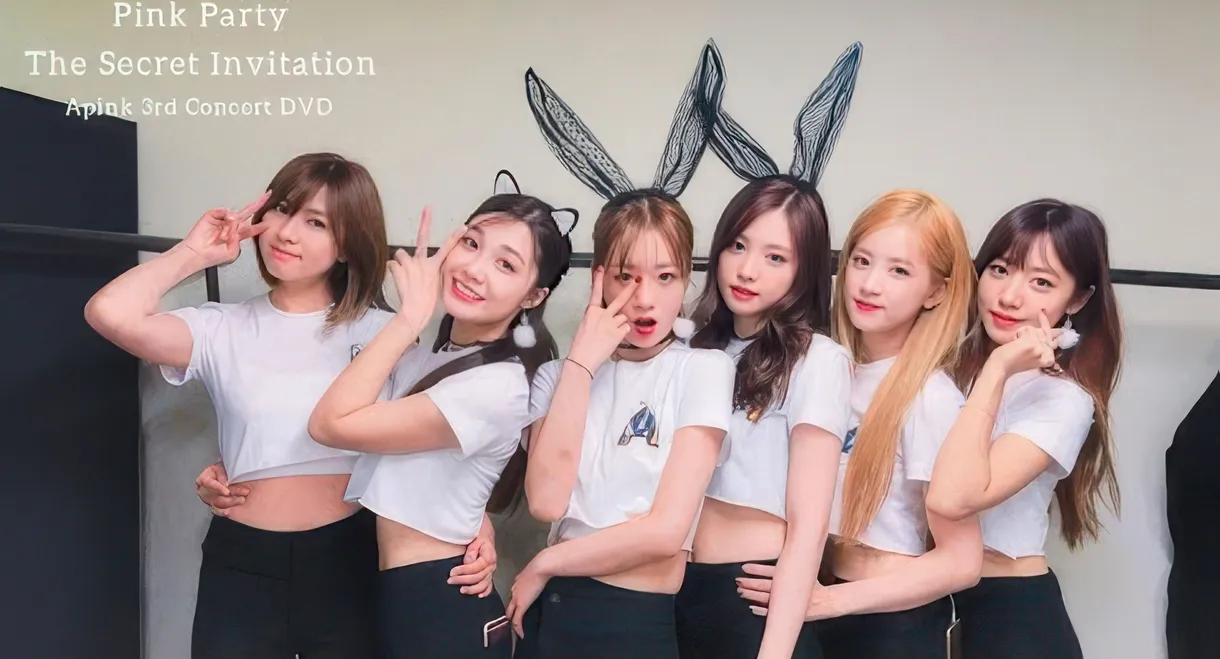 Apink 3rd Concert "Pink Party"