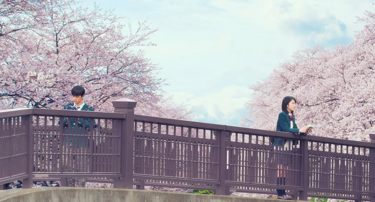 Let Me Eat Your Pancreas