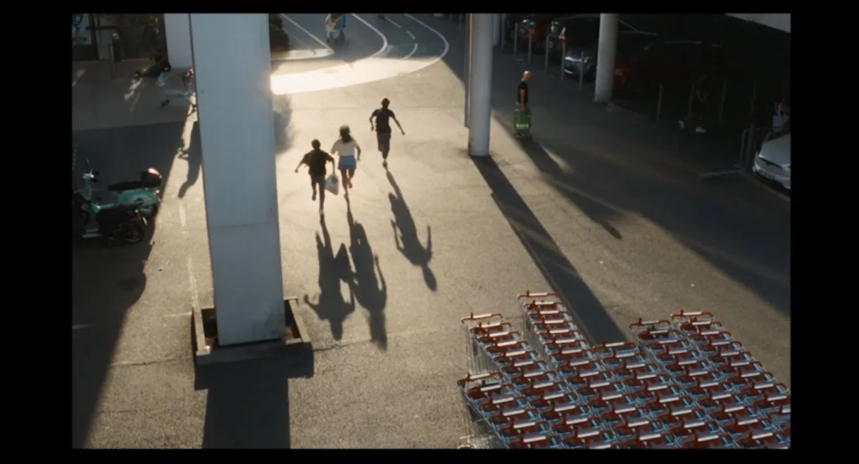 La nostalgie des dodos