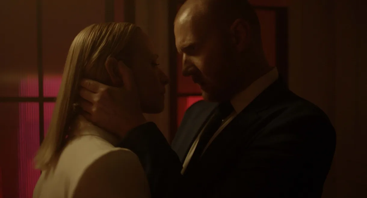 The Wife and Her House Husband