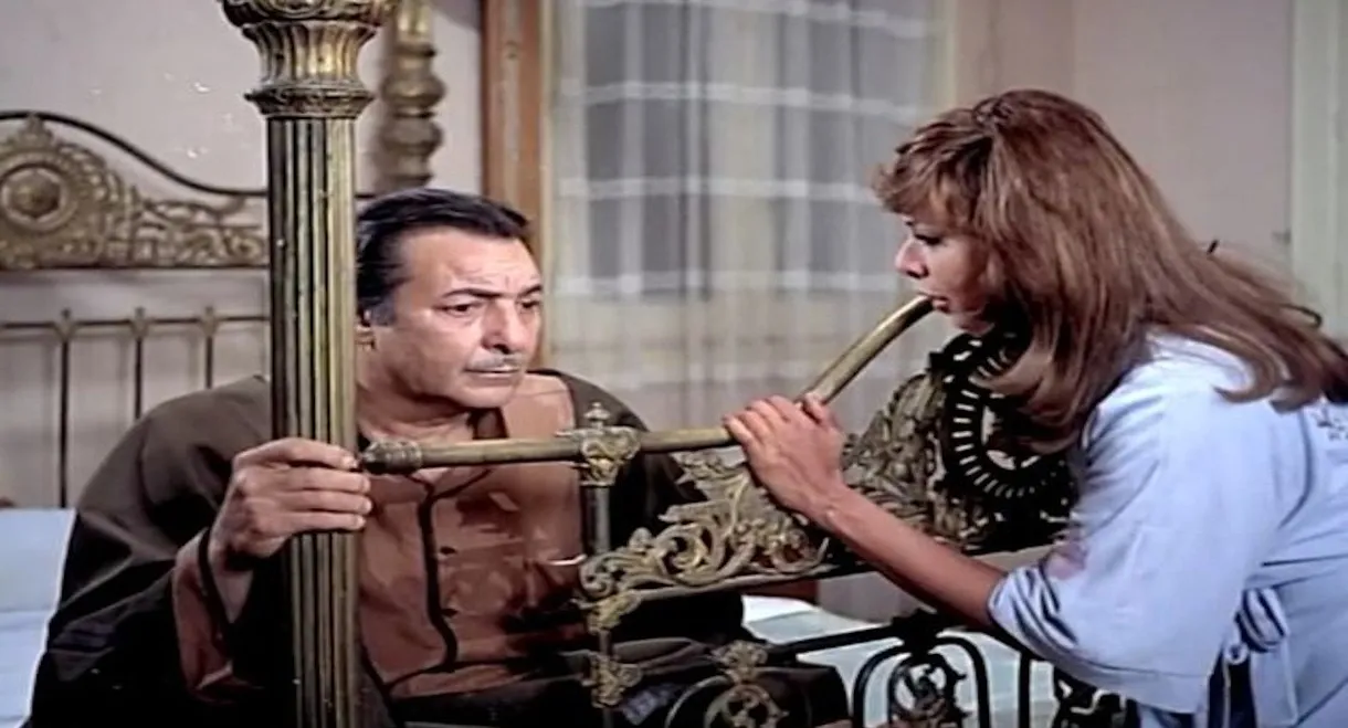 For Whom The Sun Rises