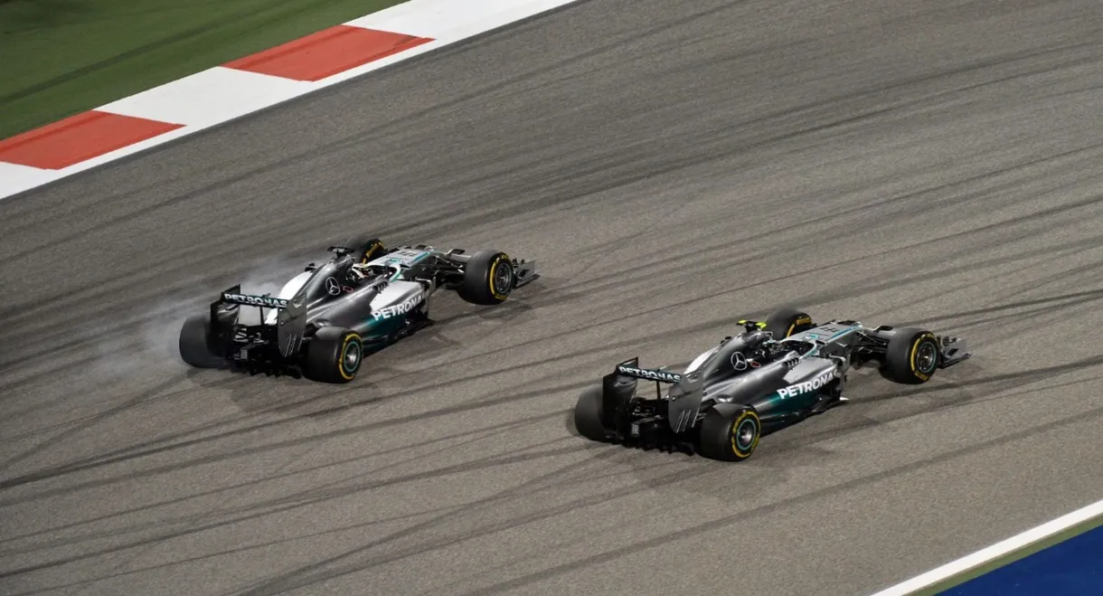 F1 Review 2014