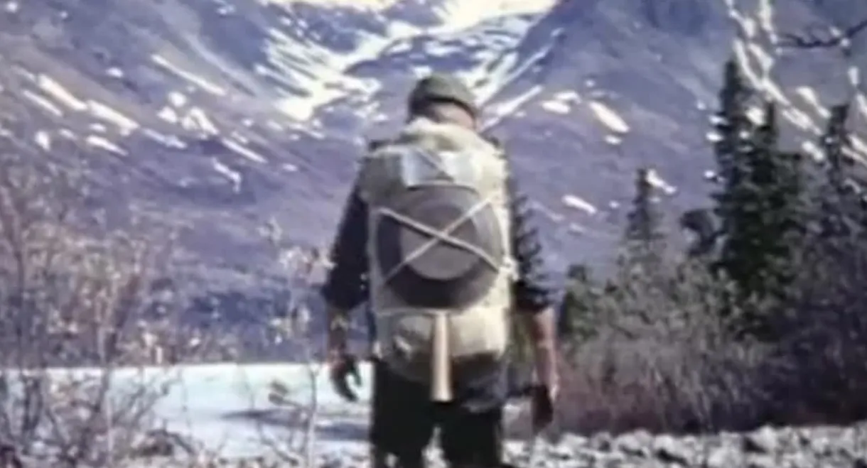 Alone in the Wilderness