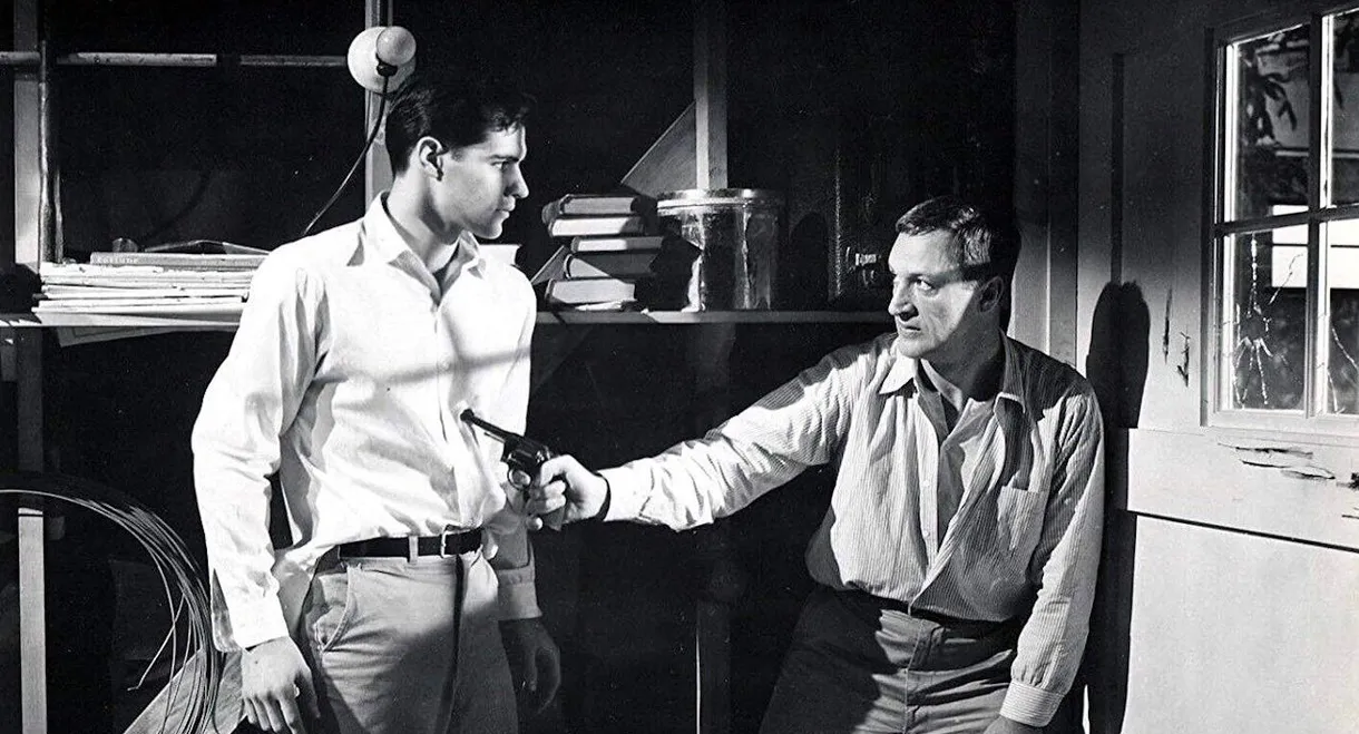 Behind the High Wall