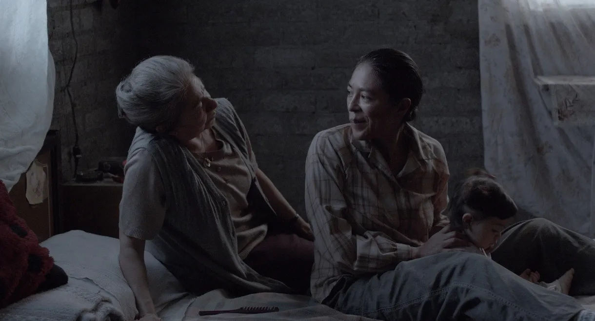 Tamara and the Ladybug