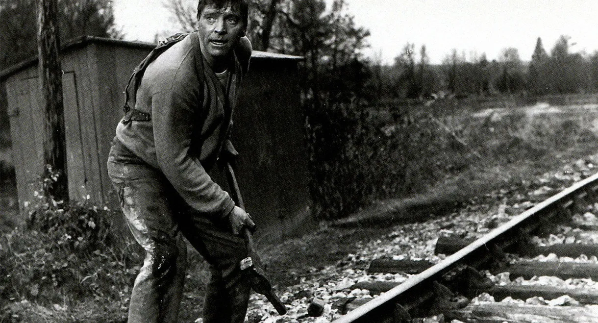 The Train