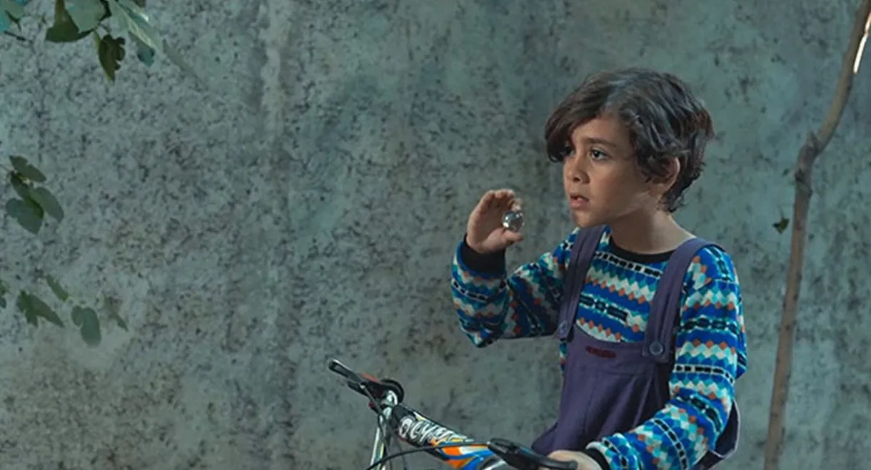 Land of The Dead Deer