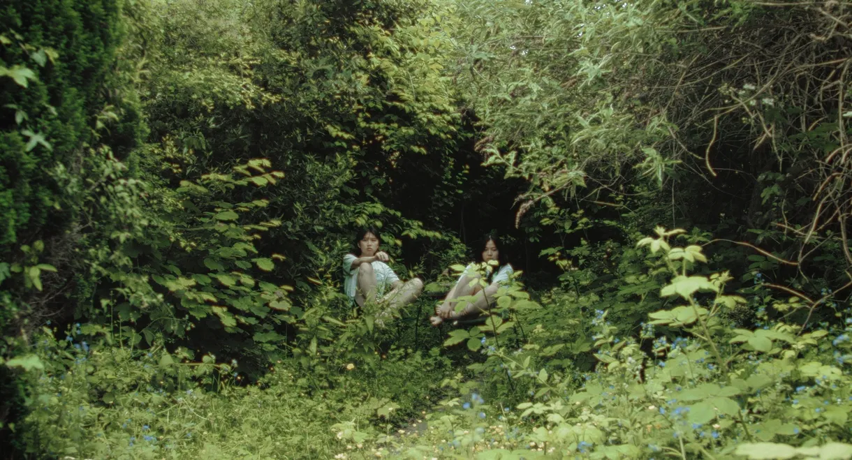 My Sister Is a Butterfly