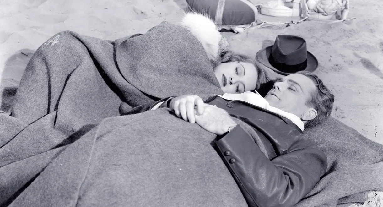 The Bride Came C.O.D.