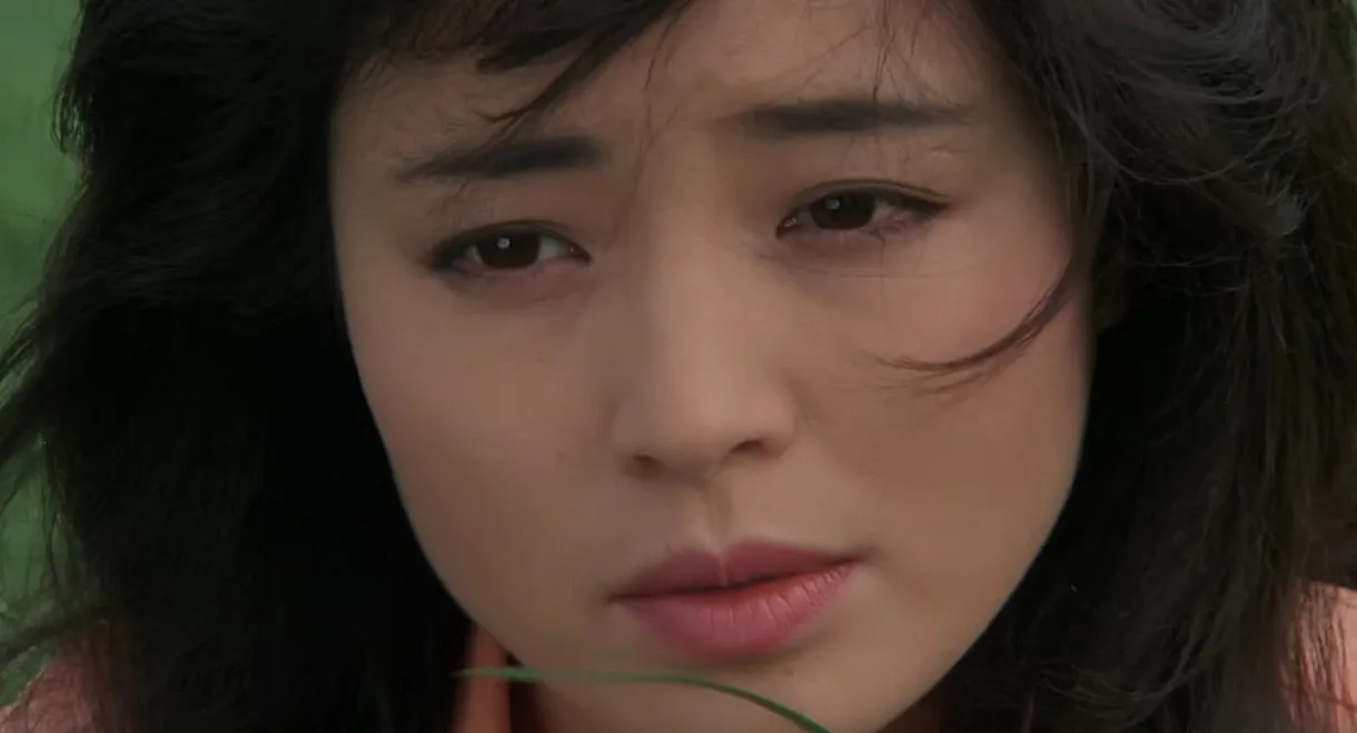 A Bird Flying At Dawn