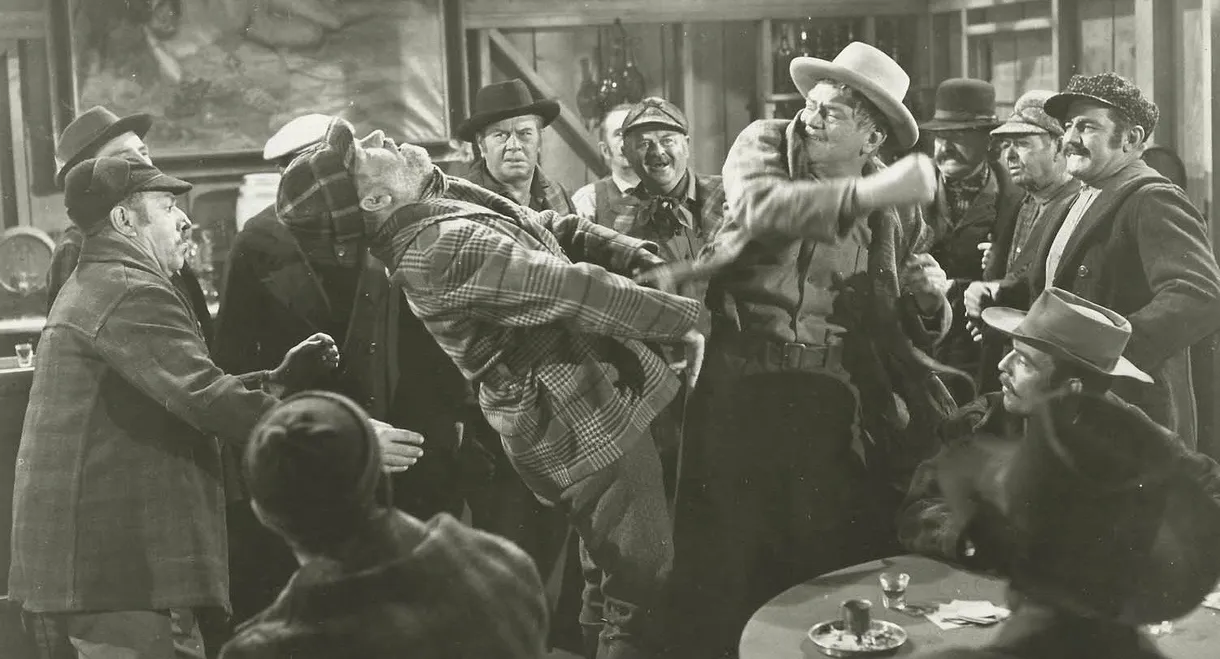 Woman of the North Country