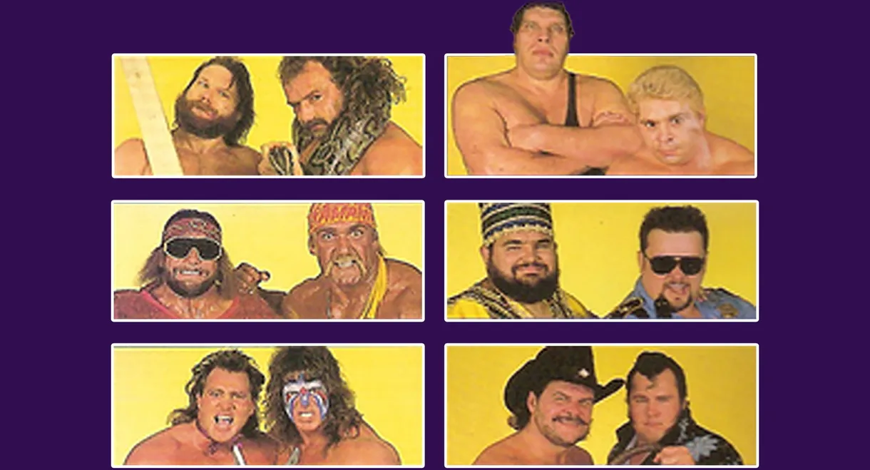 WWE Survivor Series 1988