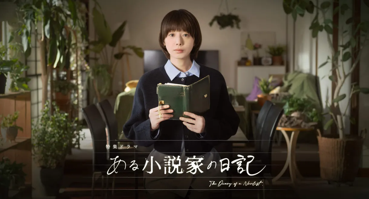 The Diary of a Novelist