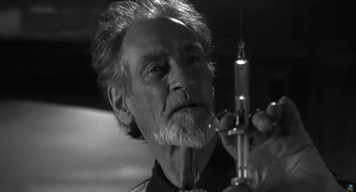 Puppet Master III: Toulan's Revenge Noir