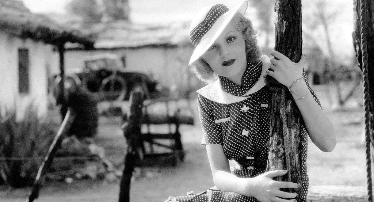 Under the Pampas Moon