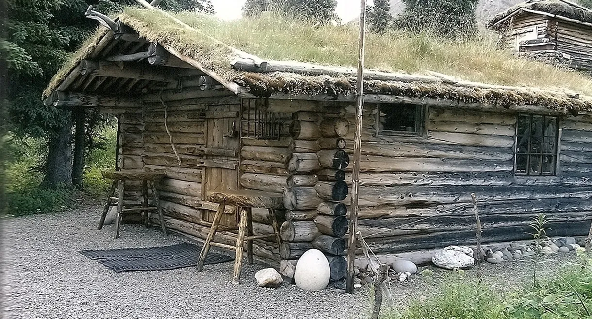 Alone in the Wilderness: Part II