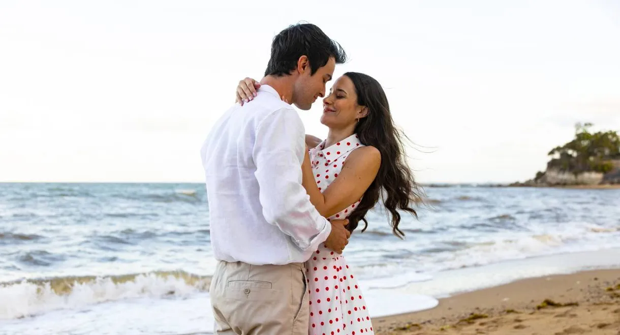 A Prince in Paradise: A Royal Wedding