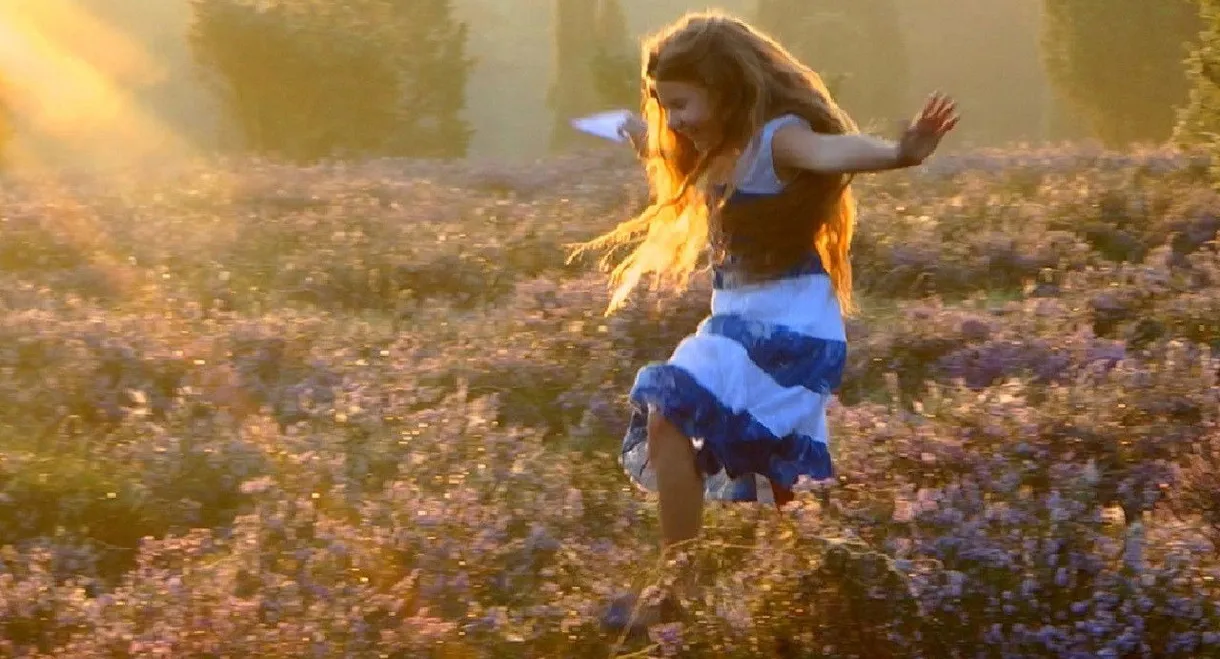 Timebreakers - auf der Suche nach dem geheimnisvollen Heidekristall