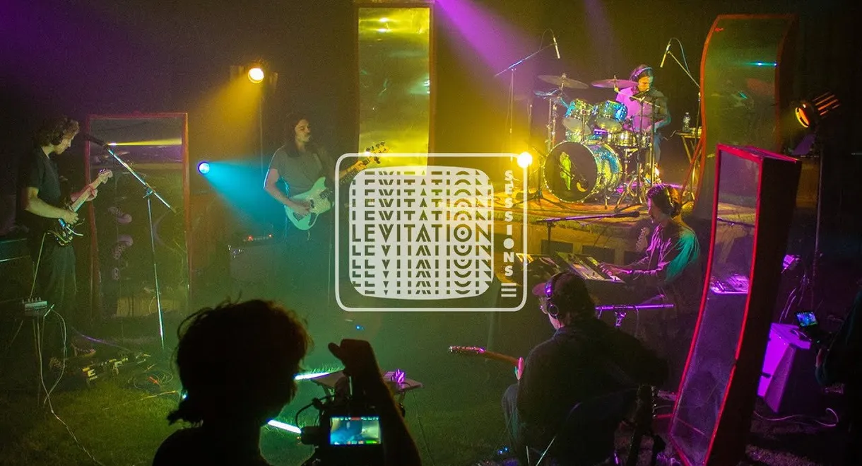 Post Animal - Levitation Sessions